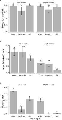 Synergistic effects of methyl jasmonate treatment and propagation method on Norway spruce resistance against a bark-feeding insect